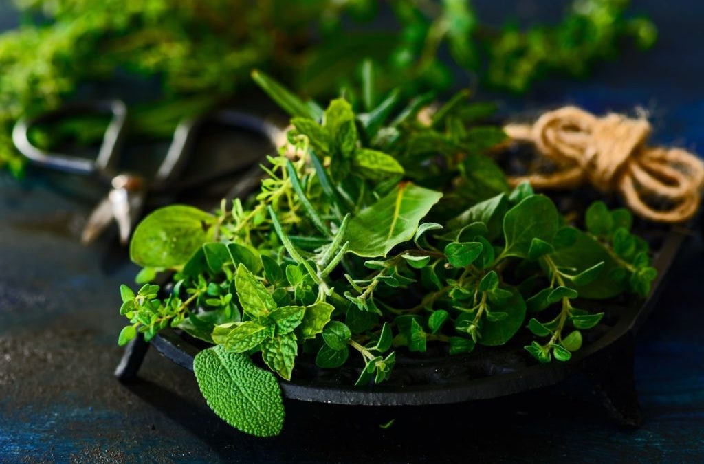 The benefits of Holistic herbs for weight loss