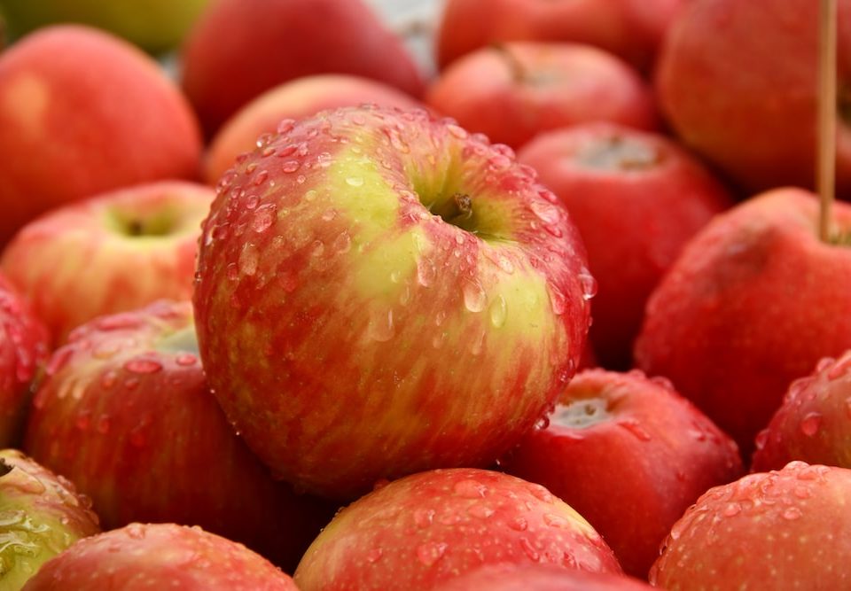 fun facts about apples
